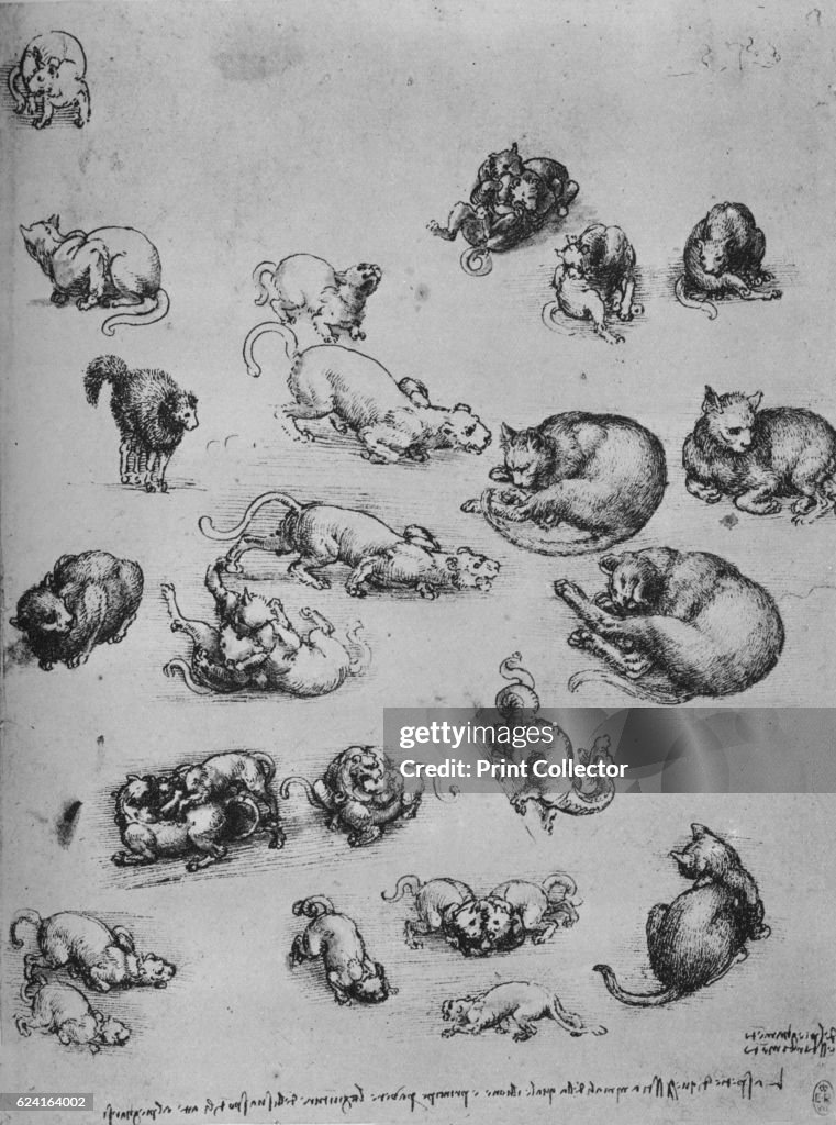 'Studies of Cats and of a Dragon', c1480