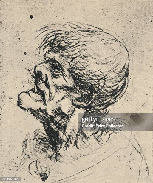 Grotesque Drawings 384 Mutation Drawing Stock Photos, High-Res Pictures, and Images ...