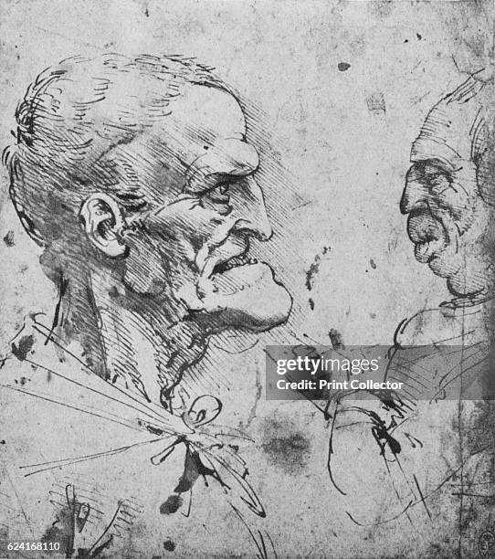 Grotesque Drawings 215 Da Vinci Man Drawing Stock Photos, High-Res Pictures, and Images ...