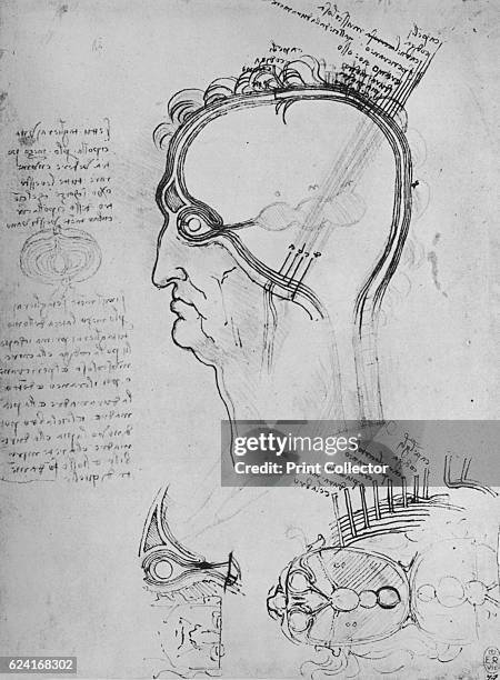 Sections of a Man's Head Showing the Anatomy of the Eye, Etc.', c1480 . From The Drawings of Leonardo da Vinci. [Reynal & Hitchcock, New York, 1945]....