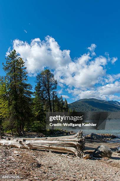 View of Lake Wenatchee from Lake Wenatchee State Park in eastern Washington State, USA.