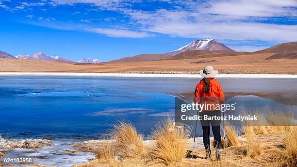 female tourist looking at laguna canapa, bolivian altiplano - bolivia stock pictures, royalty-free photos & images