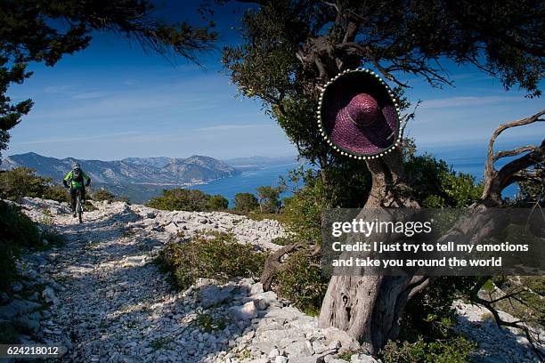 sardinia between mountains and sea - riding mountain bike - moves summer 2010 foto e immagini stock