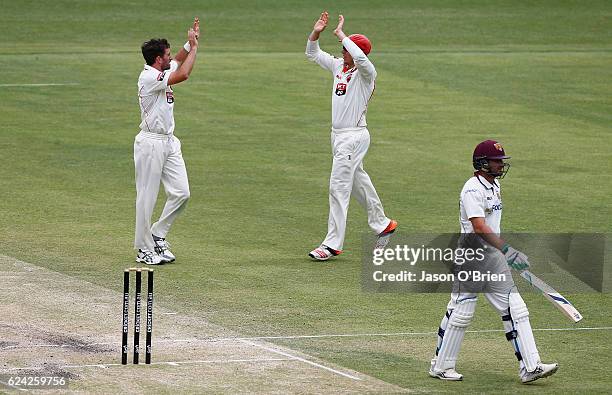 Chadd Sayers of the Redback's celebrates the wicket of Joe Burns during day three of the Sheffield Shield match between Queensland and South...