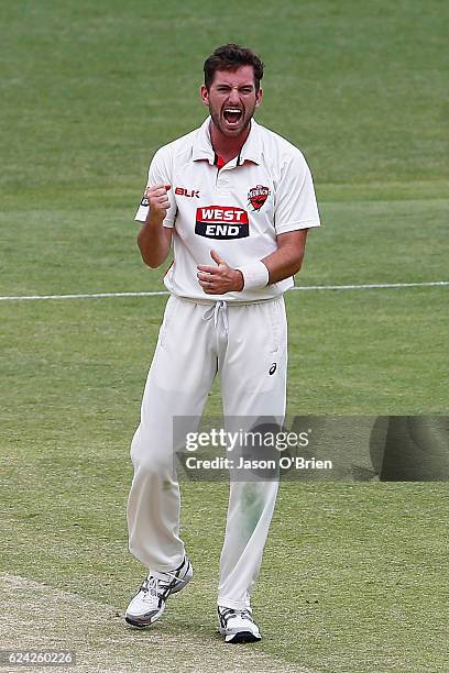 Chadd Sayers of the Redback's celebrates the wicket of Joe Burns during day three of the Sheffield Shield match between Queensland and South...