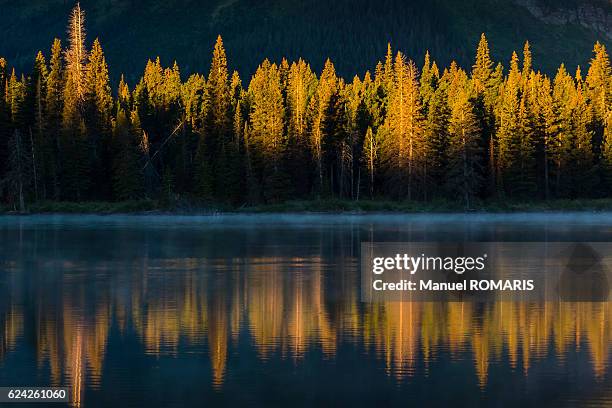 sunrise - two medicine lake montana stockfoto's en -beelden