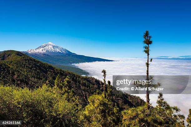 mount teide tenerife - el teide national park stock pictures, royalty-free photos & images