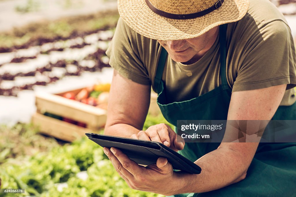 Farmer on a field with digital tablet