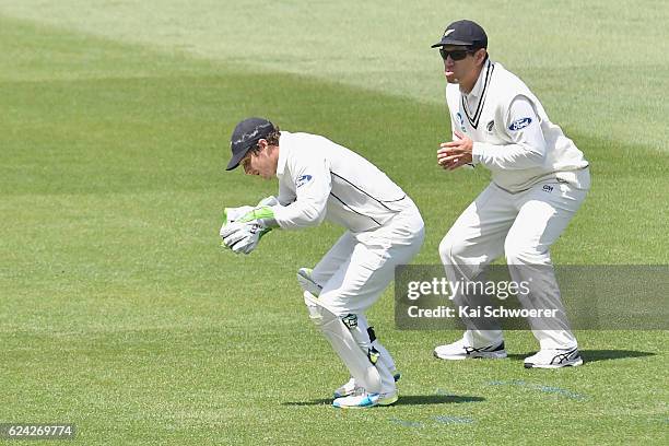 Watling of New Zealand takes a catch during day three of the First Test between New Zealand and Pakistan at Hagley Oval on November 19, 2016 in...