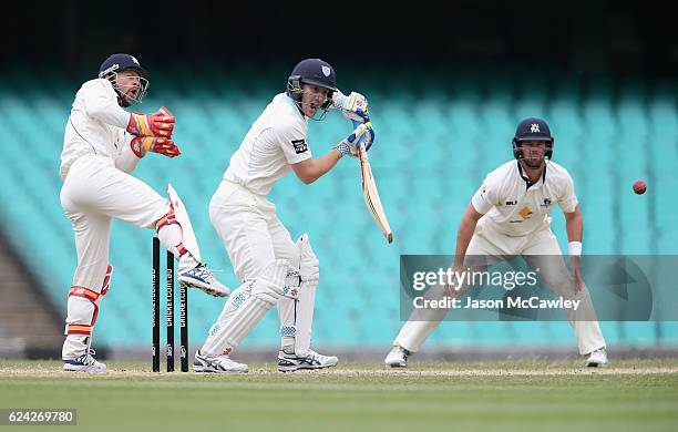 Peter Nevill of the Blues bats during day three of the Sheffield Shield match between New South Wales and Victoria at Sydney Cricket Ground on...