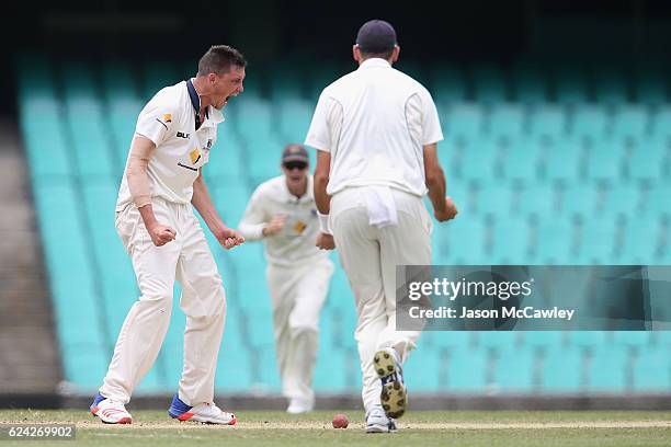 Chris Tremain of the Bushrangers celebrates taking the wicket of Moises Henriques of the Blues during day three of the Sheffield Shield match between...