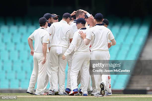 Chris Tremain of the Bushrangers celebrates with team mates after dismissing Moises Henriques of the Blues during day three of the Sheffield Shield...