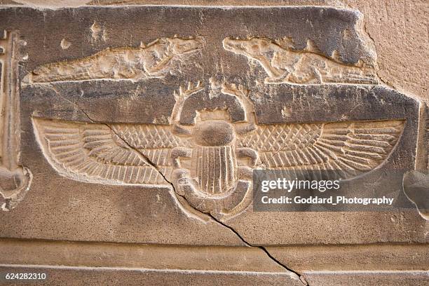 egypt: temple of kom ombo - scarabee stockfoto's en -beelden