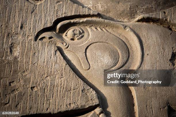 egipto: templo de kom ombo - horus fotografías e imágenes de stock