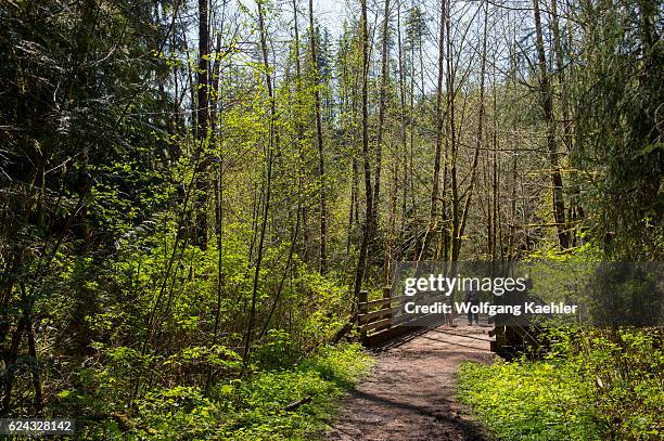 Hiker and dog on the Lime Kiln Trail near Granite Falls, Washington State, USA, which is partially carved out of the Everett & Monte Cristo railroad...