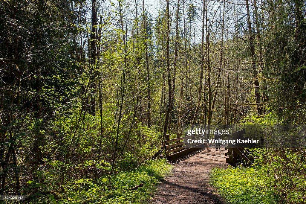 Hiker (Model Release 20020923-10) and dog (Miniature Golden...