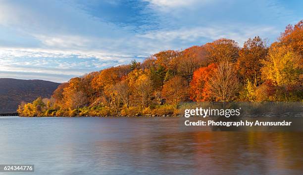 autumn trees in morning light - río hudson fotografías e imágenes de stock