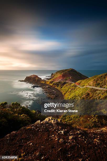 cape schanck at sunset - mornington peninsula stockfoto's en -beelden