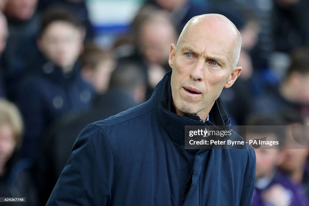 Everton v Swansea City - Premier League - Goodison Park