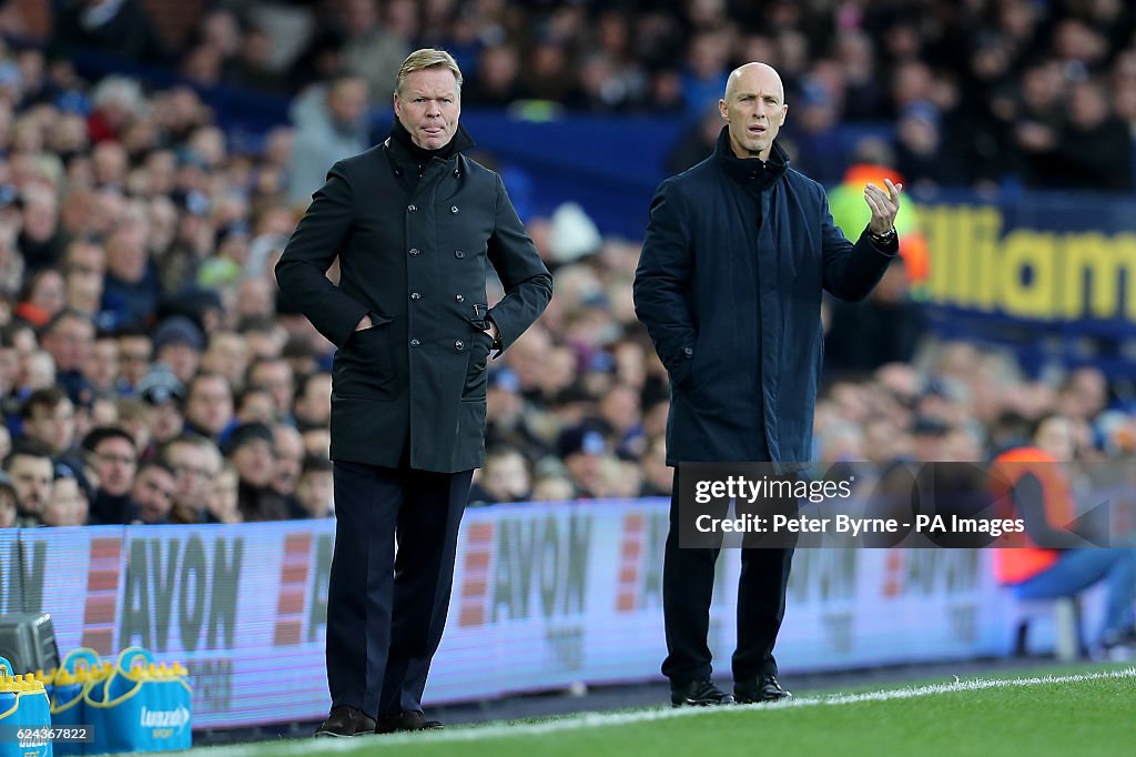 Everton v Swansea City - Premier League - Goodison Park