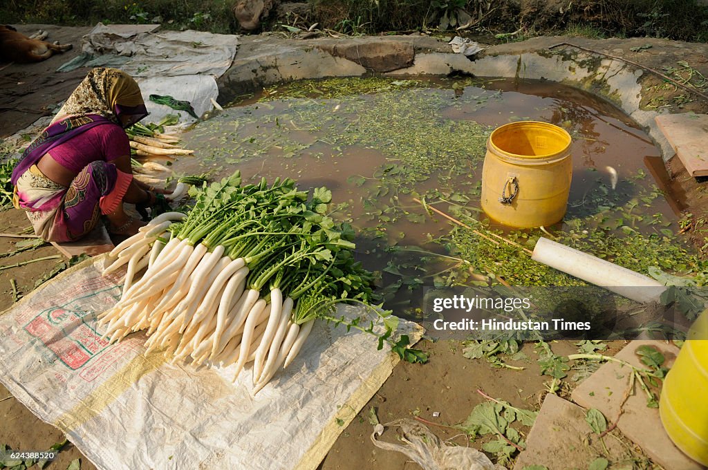 Demonetization Effect On Vegetables Farmers