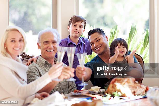 thanksgiving dinner - lise gagne stock pictures, royalty-free photos & images