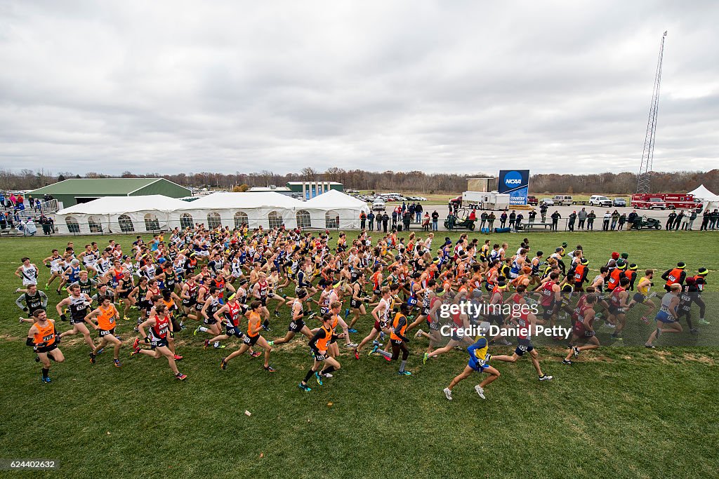 NCAA Cross Country Championships 2016