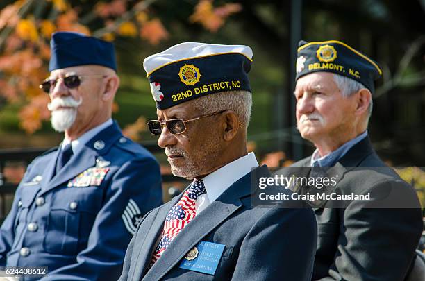 american veterans honored at a veteran’s day cermony - american legion stockfoto's en -beelden