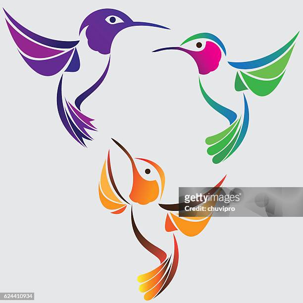 illustrations, cliparts, dessins animés et icônes de stylisé on y trouve des colibris ensemble - oiseau tropical