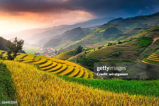 rice fields terraced - sapa stockfoto's en -beelden