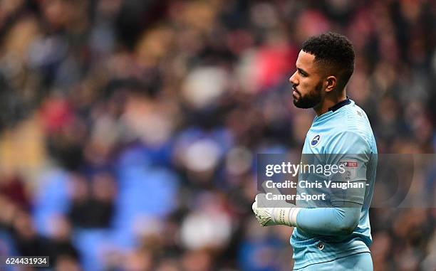 Millwall's Jordan Archer during the Sky Bet League One match between Bolton Wanderers and Millwall at Macron Stadium on November 19, 2016 in Bolton,...