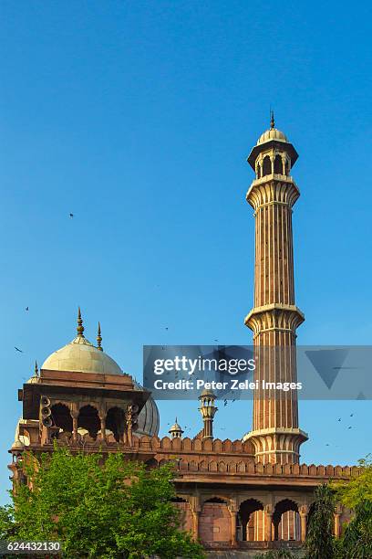 mosque jama masjid, delhi, india - delhi jama masjid mosque stockfoto's en -beelden