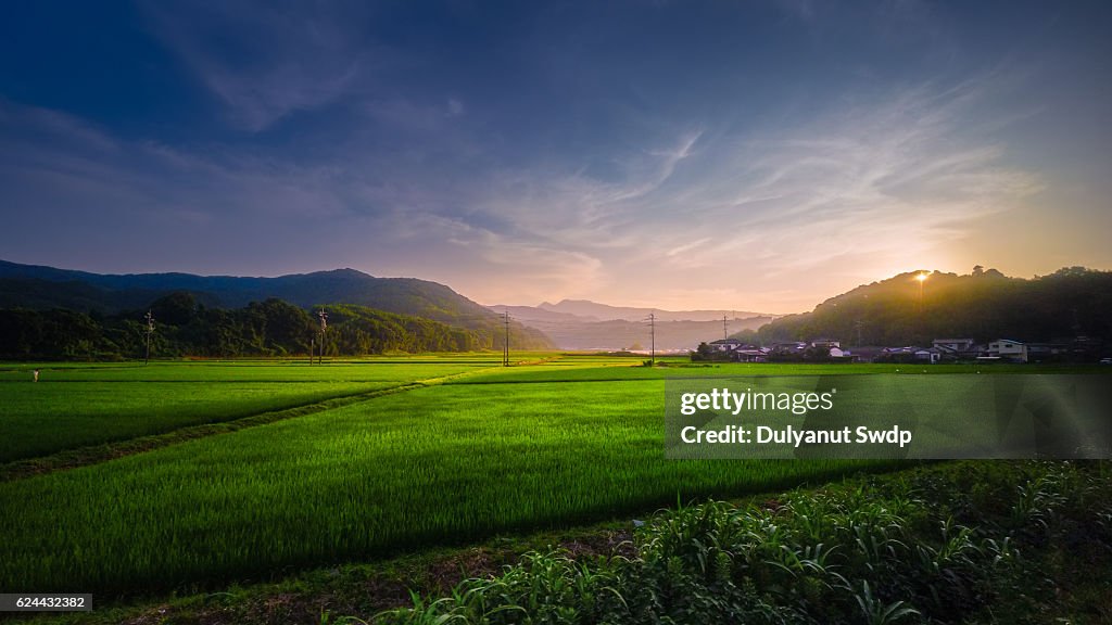 Rice field sunset at Saga , Japan