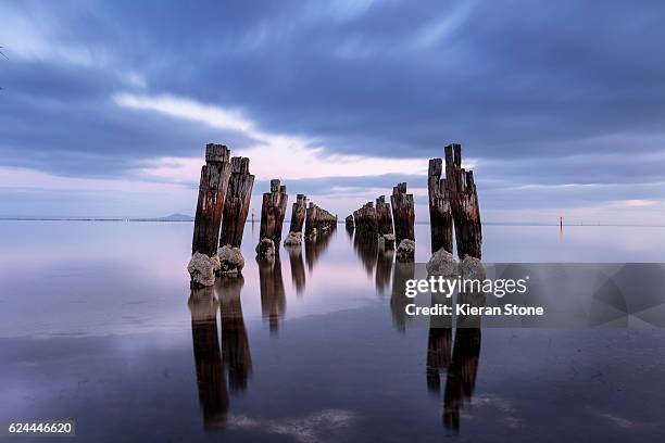 Spring Geelong Geelong Beach Photos and Premium High Res Pictures - Getty Images