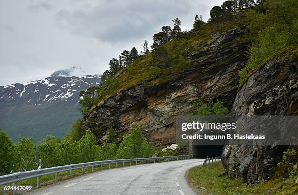 road ahead into a tunnell. summer in northern norway - túnel de carretera fotografías e imágenes de stock