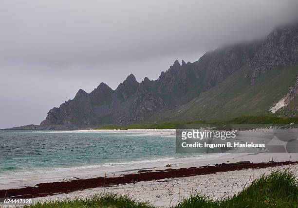 view from the bleik beach on the mountains along the national tourist road at andøya, county nordland. very windy and cold summer day in northern norway. - norway national day 2016 stock-fotos und bilder