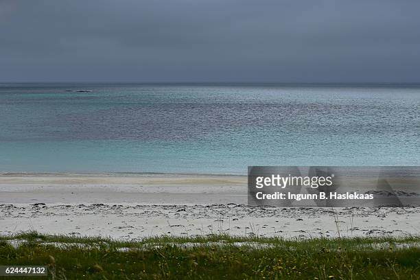 beach along the national tourist route on andøya, county nordland, on an windy and overcast day. summer in northern norway. - norway national day 2016 stock-fotos und bilder