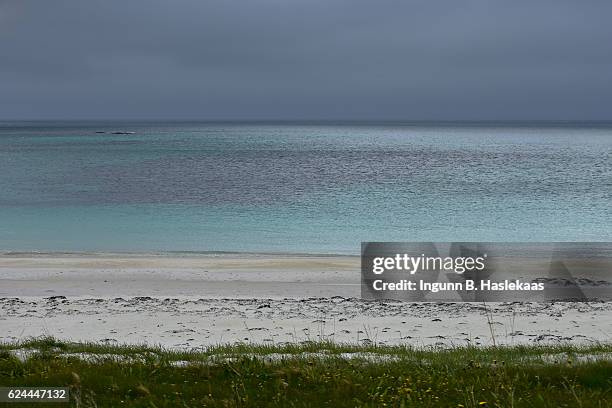 beach along the national tourist route on andøya, county nordland, on an windy and overcast day. summer in northern norway. - norway national day 2016 stock pictures, royalty-free photos & images