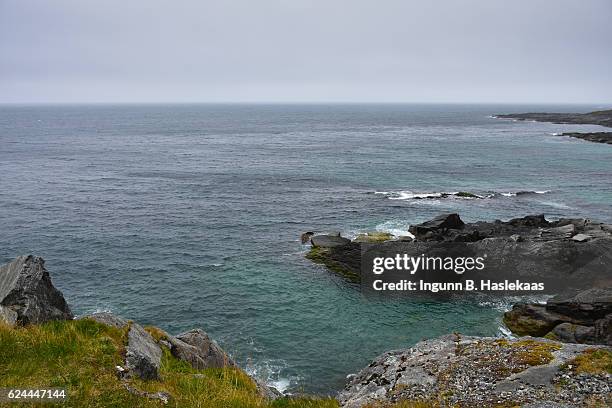 landscape along the national tourist route at andøya, county nordland. summer in northern norway. - norway national day 2016 stock-fotos und bilder