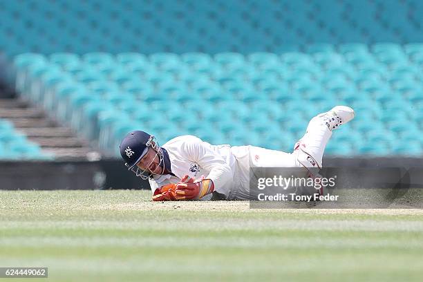 Victorian wicketkeeper Matthew Wade spills a catch during day four of the Sheffield Shield match between New South Wales and Victoria at Sydney...