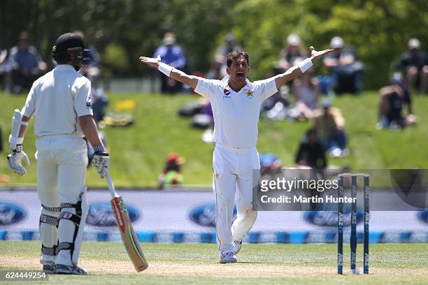 Yasir Shah of Pakistan appeals unsuccessfully during day four of the First Test between New Zealand and Pakistan at Hagley Oval on November 20, 2016...