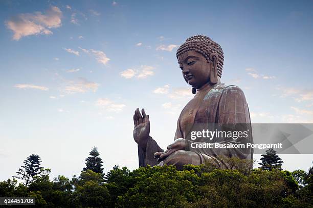 tian tan buddha in the morniing - boeddha stockfoto's en -beelden