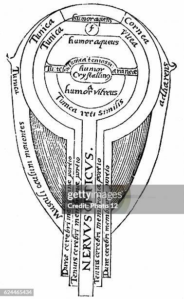 Alhazen c965-c1040. Arab mathematician. Anatomy of the eye from illustration from an edition of Alhazen "Optica thesaurus", 1572. Woodcut, Basel.