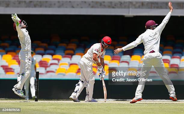 Chris Hartley of the Bulls celebrates the Dismissal of Jake Weatherald during day four of the Sheffield Shield match between Queensland and South...