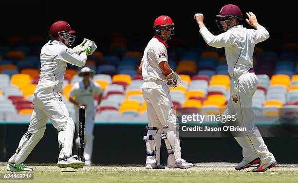 Chris Hartley of the Bulls celebrates the Dismissal of Jake Weatherald during day four of the Sheffield Shield match between Queensland and South...