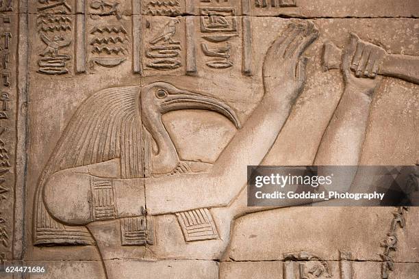 ägypten: tempel von kom ombo - egyptian thoth stock-fotos und bilder