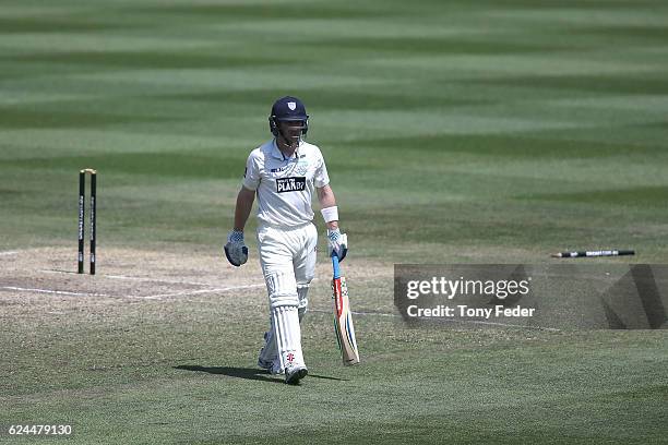 Peter Nevill of NSW is bowled during day four of the Sheffield Shield match between New South Wales and Victoria at Sydney Cricket Ground on November...