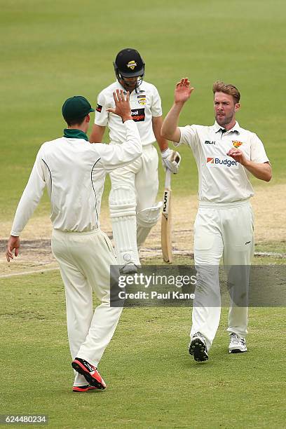 Hamish Kingston of Tasmania celebrates the wicket of Jonathan Wells of Western Australia during day four of the Sheffield Shield match between...