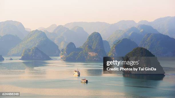 halong bay, vietnam - bahía fotografías e imágenes de stock