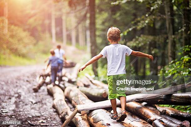 les enfants s’équilibrent sur les troncs d’arbres - ballade famille photos et images de collection